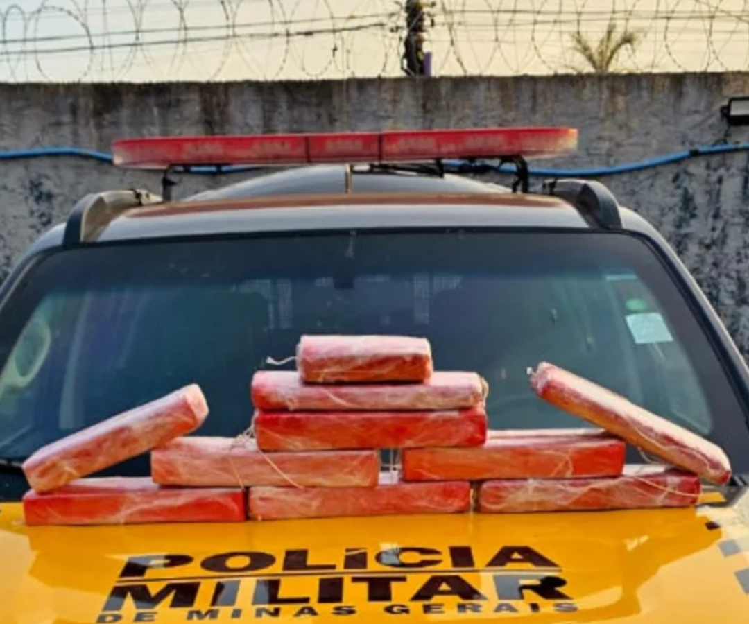 (foto: divulgação/ PMMG)