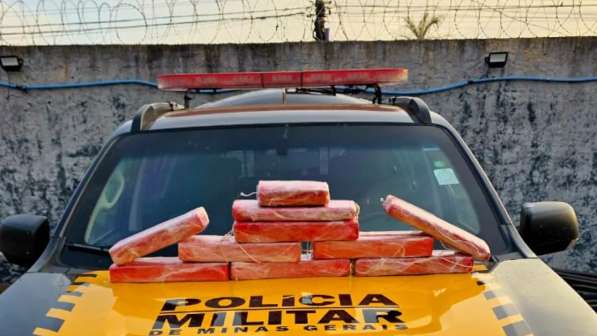 (foto: divulgação/ PMMG)