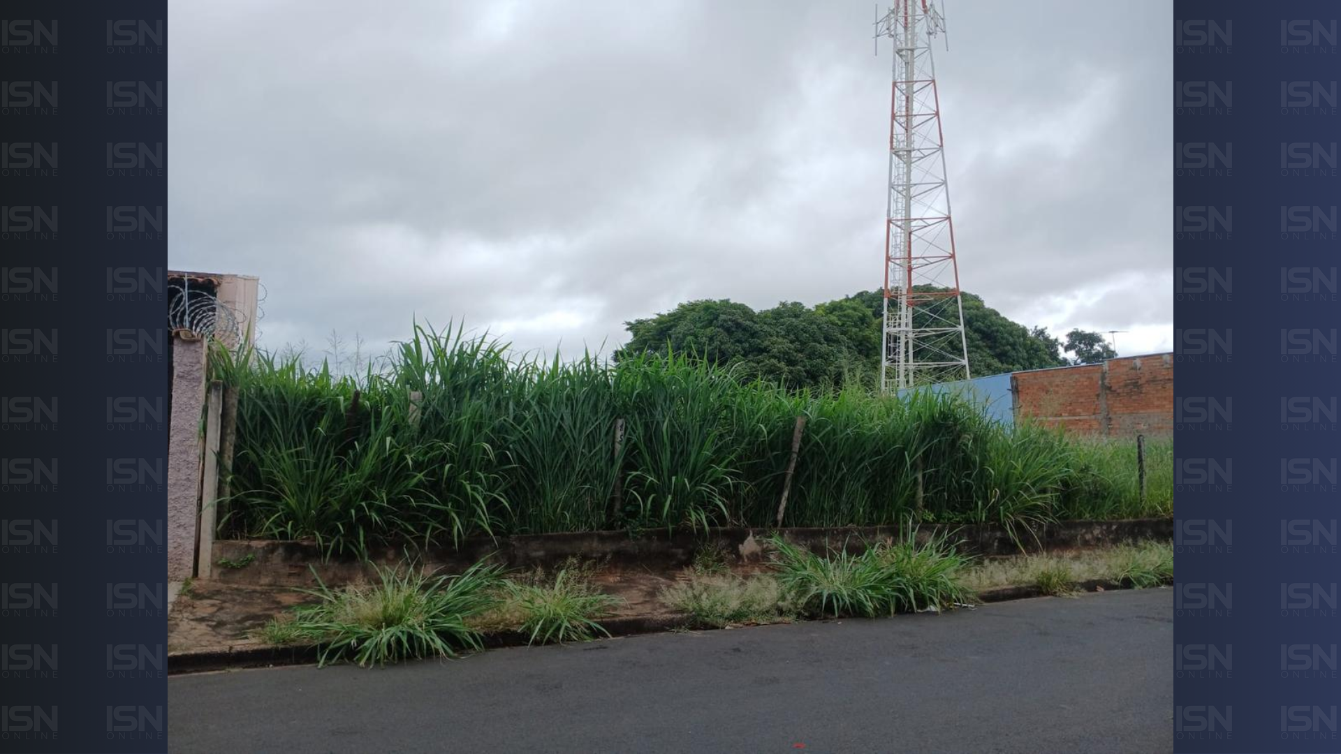 Terreno baldio em  Uberaba apresenta lixo acumulado e descuido, gerando risco à saúde e ao meio ambiente (foto: reprodução)