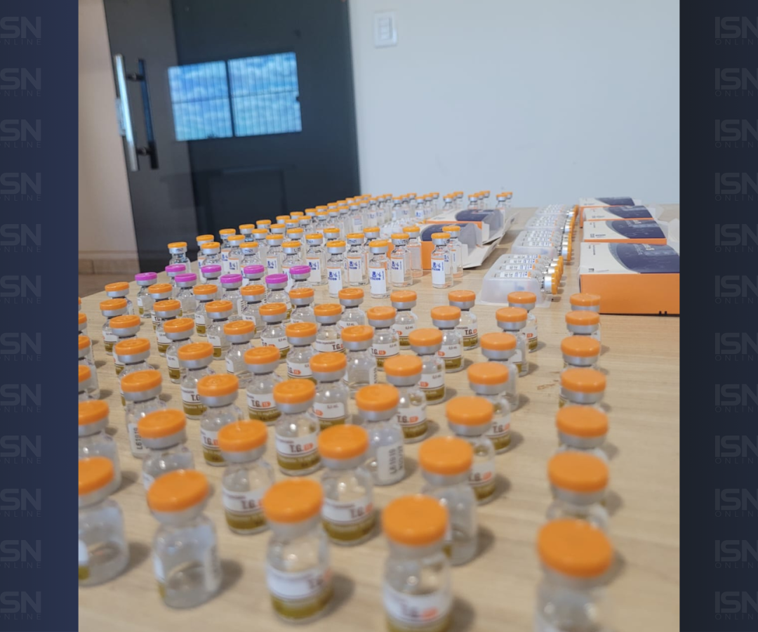 (foto: divulgação/ PMRv)