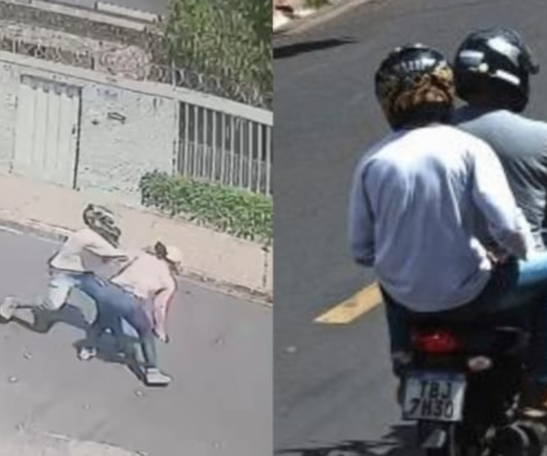 (foto: divulgação/ PMMG)