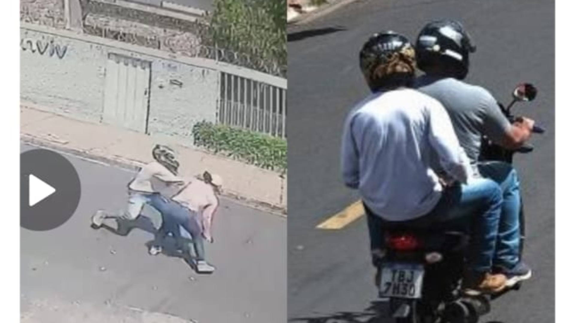 (foto: divulgação/ PMMG)