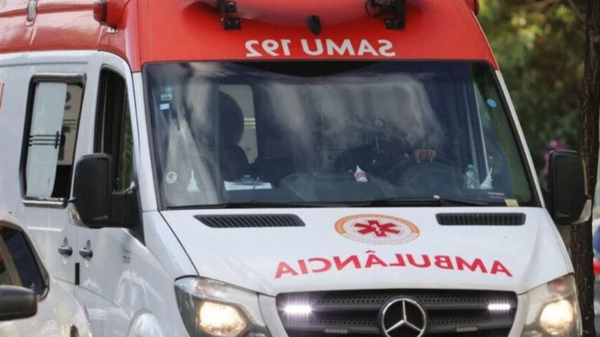 (foto: divulgação/ Rodney Costa)