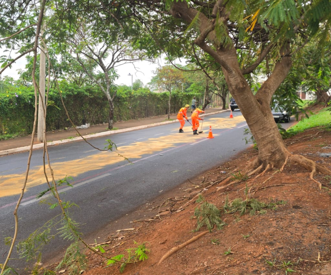 (foto: divulgação/ redes sociais)