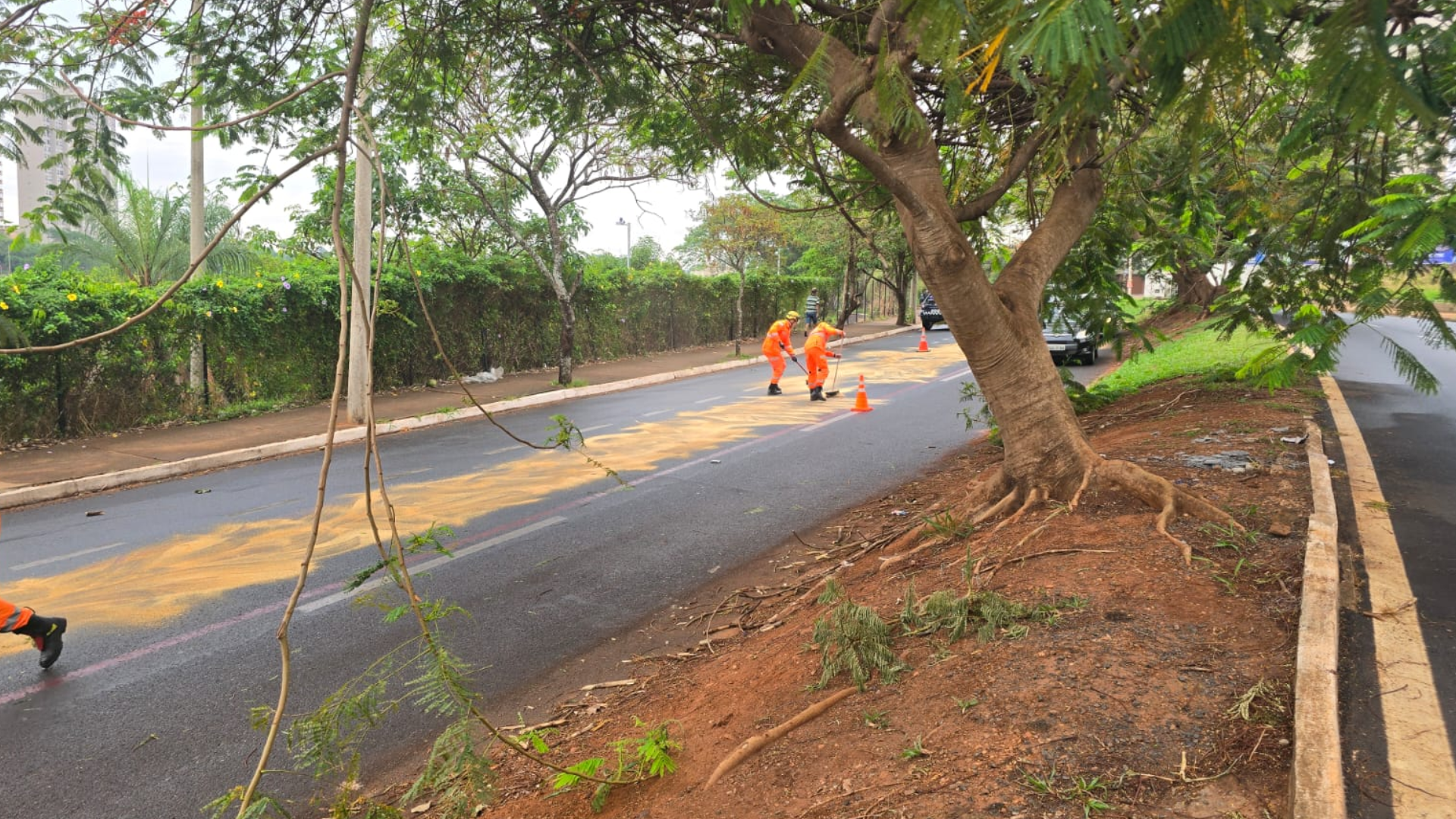 (foto: divulgação/ redes sociais)