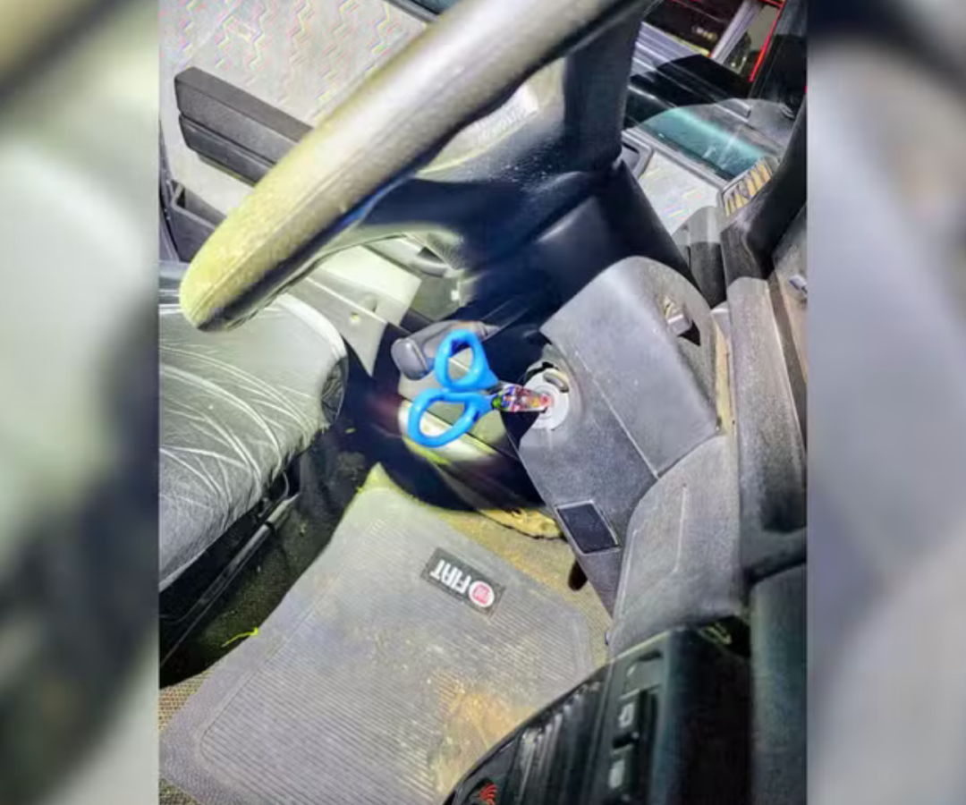 (foto: divulgação/PCMG)