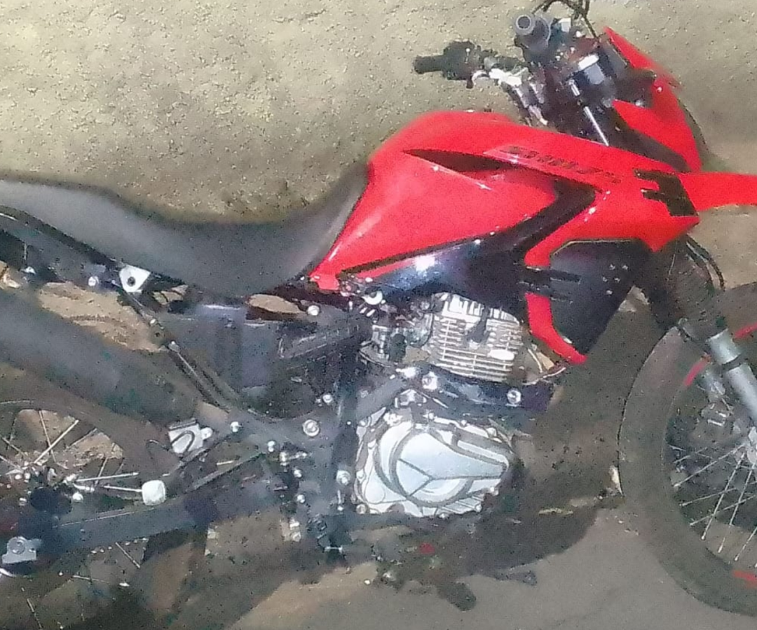 (foto: divulgação/ PMMG)