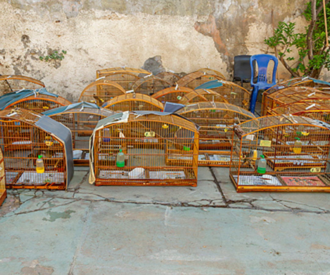 (foto: divulgação/ MPMG)