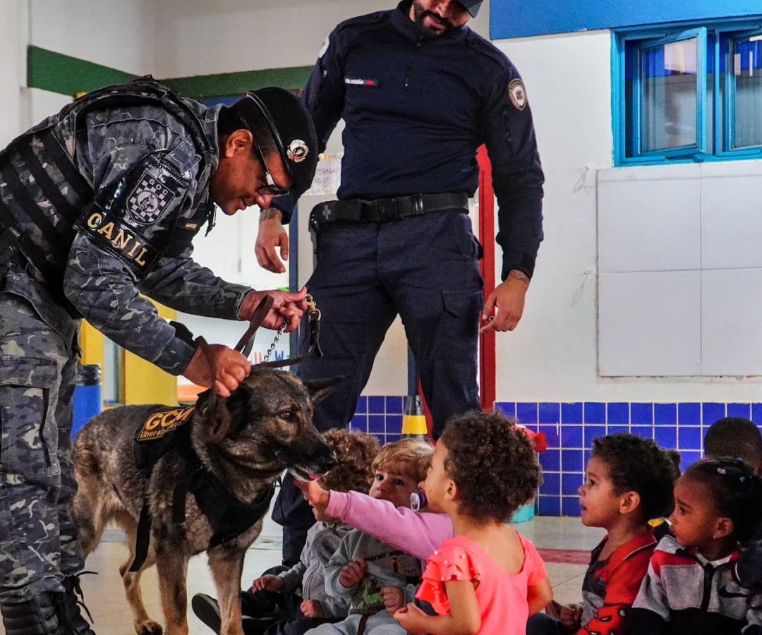 (foto: divulgação/ Secom/ PMU)