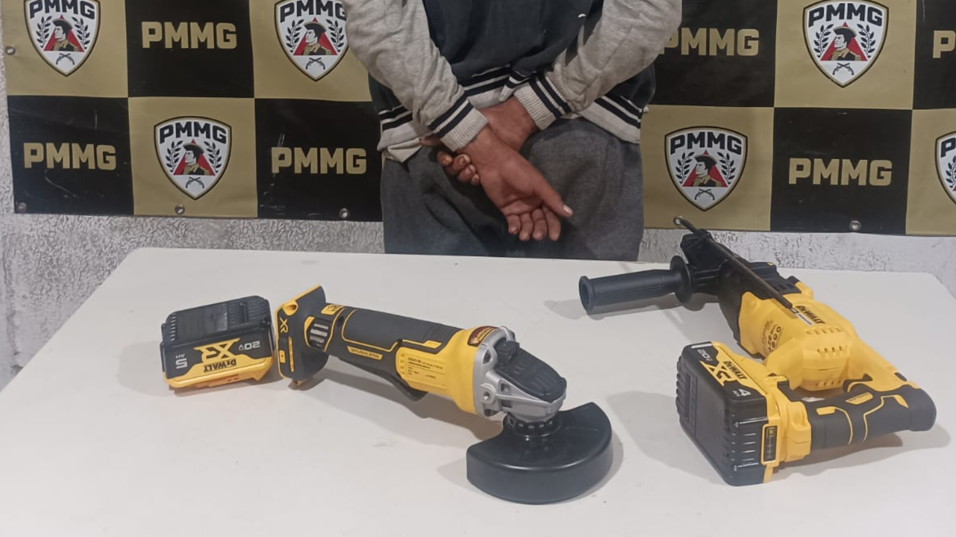 (foto: divulgação/ PMMG)