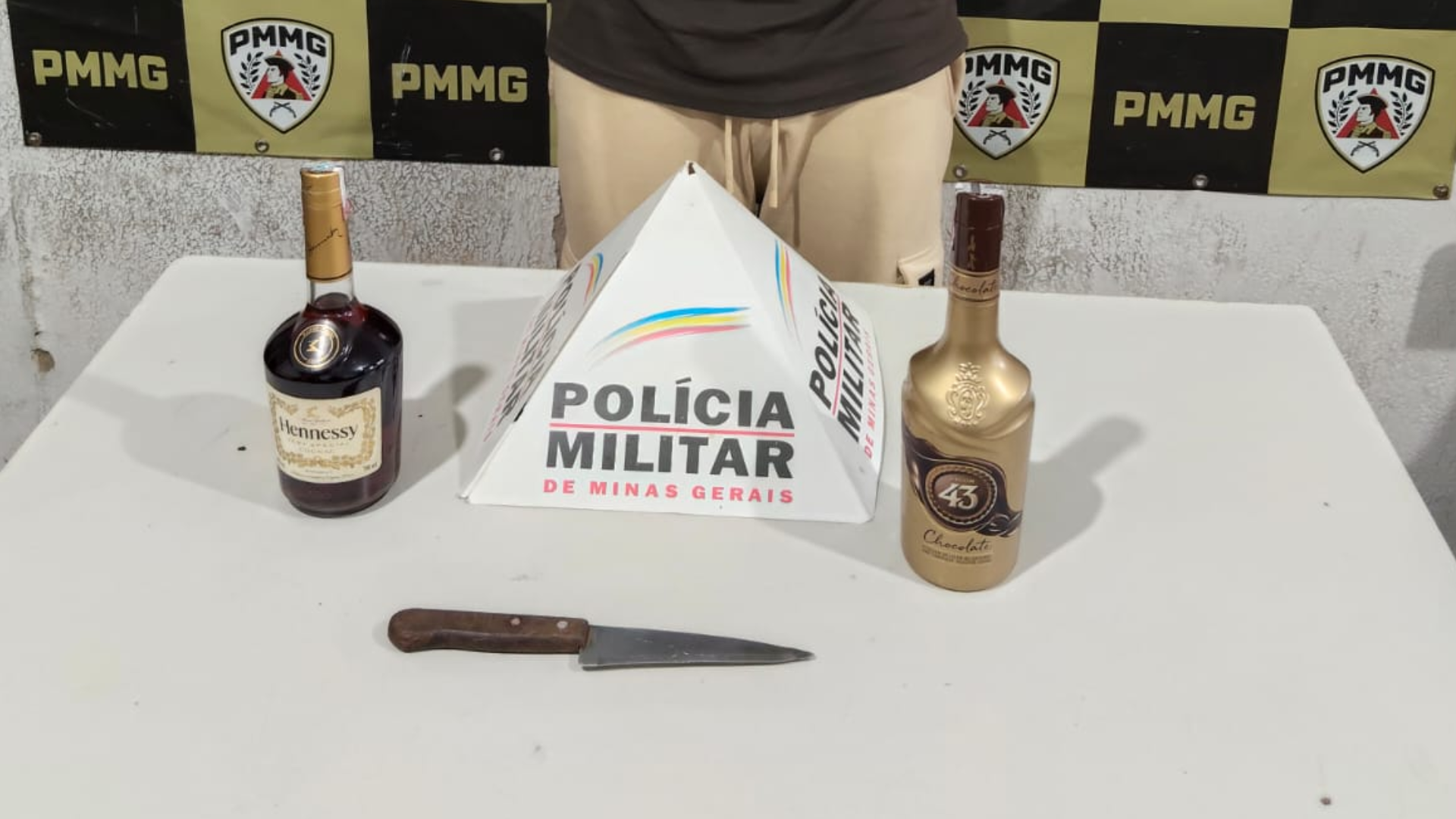 (foto: divulgação/ PMMG)