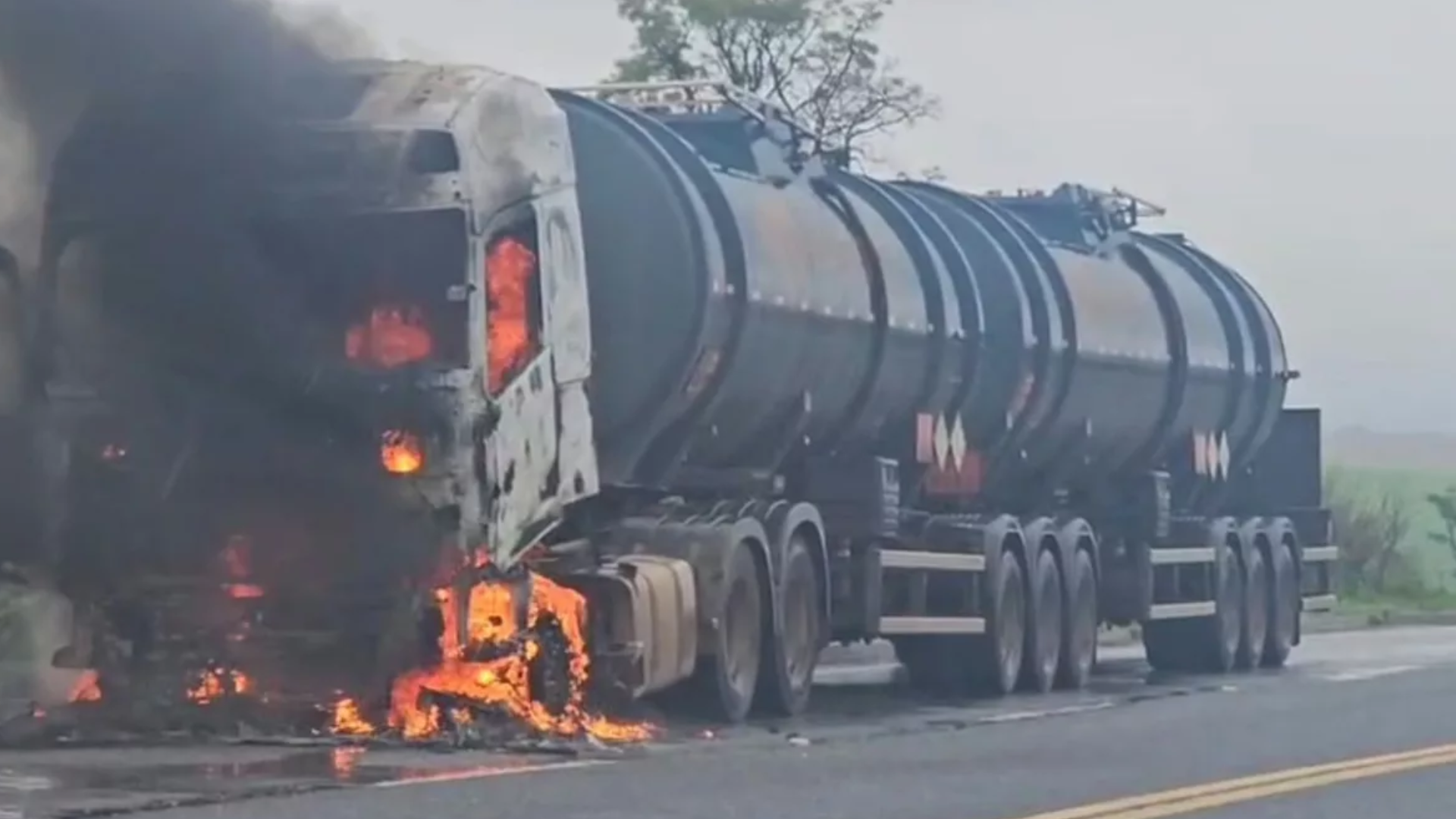 (foto: divulgação/ redes sociais)