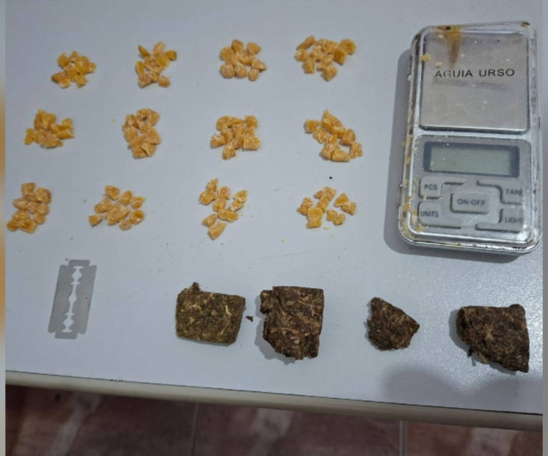 (foto: divulgação/ PMMG)