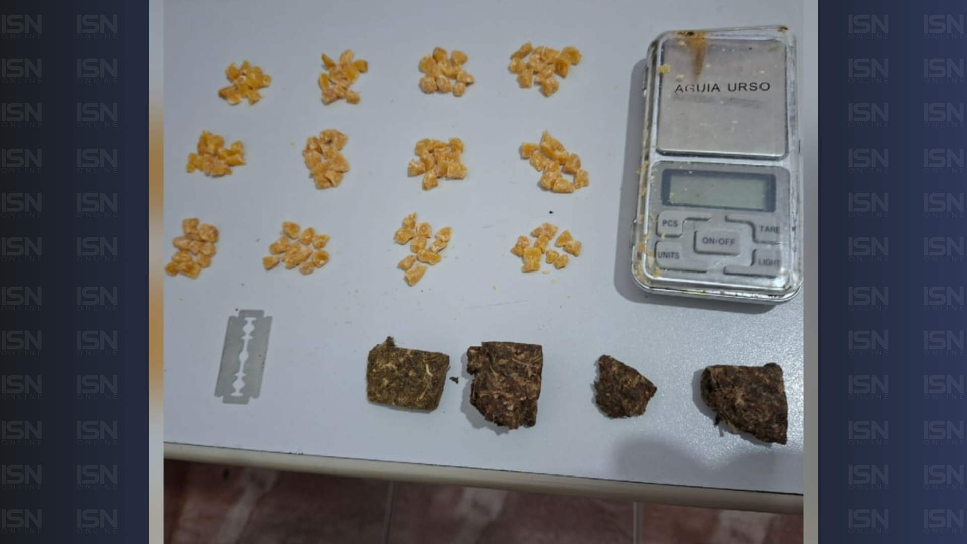 (foto: divulgação/ PMMG)