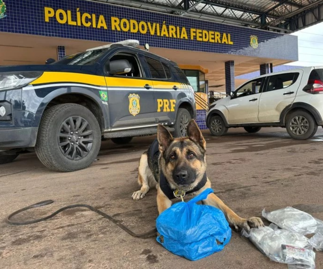 (foto: divulgação/ PRF)