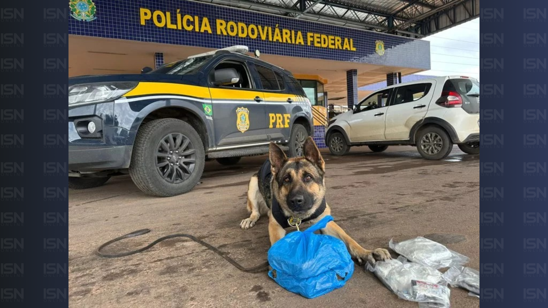 (foto: divulgação/ PRF)