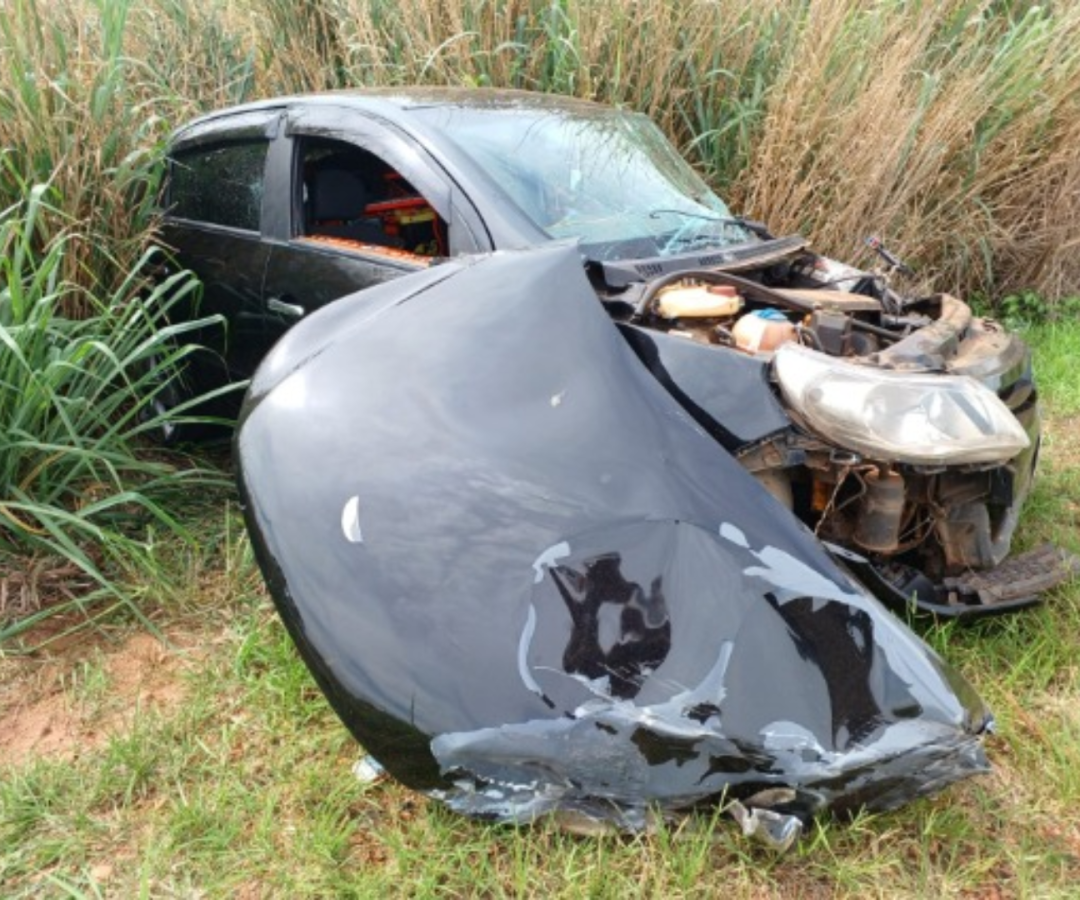 (foto: divulgação/ PMMG)