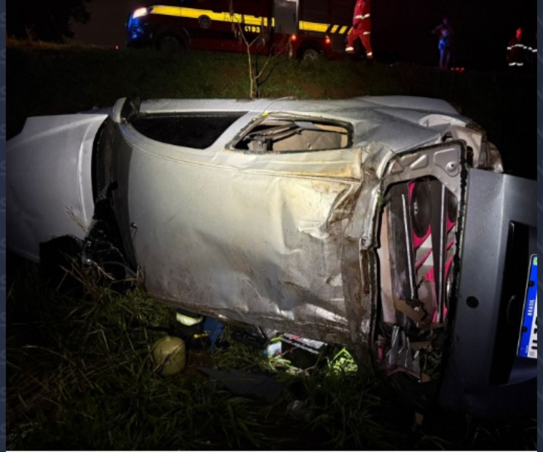 (foto: divulgação/ PMMG)