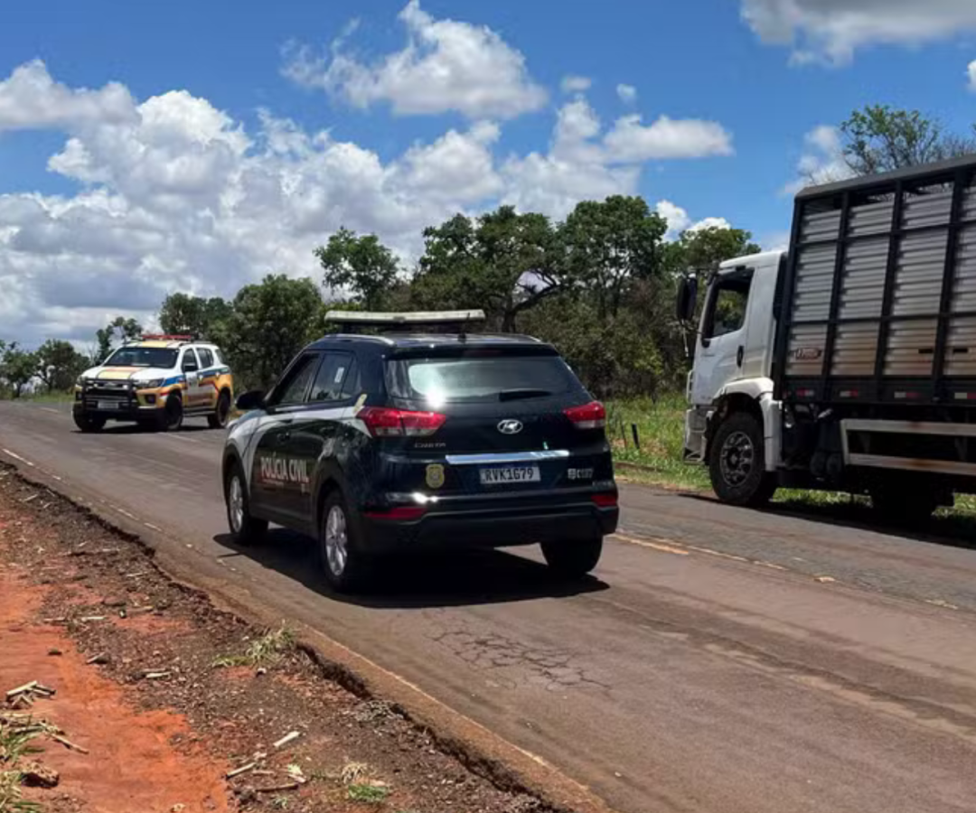 (foto: divulgação/ PMRv)
