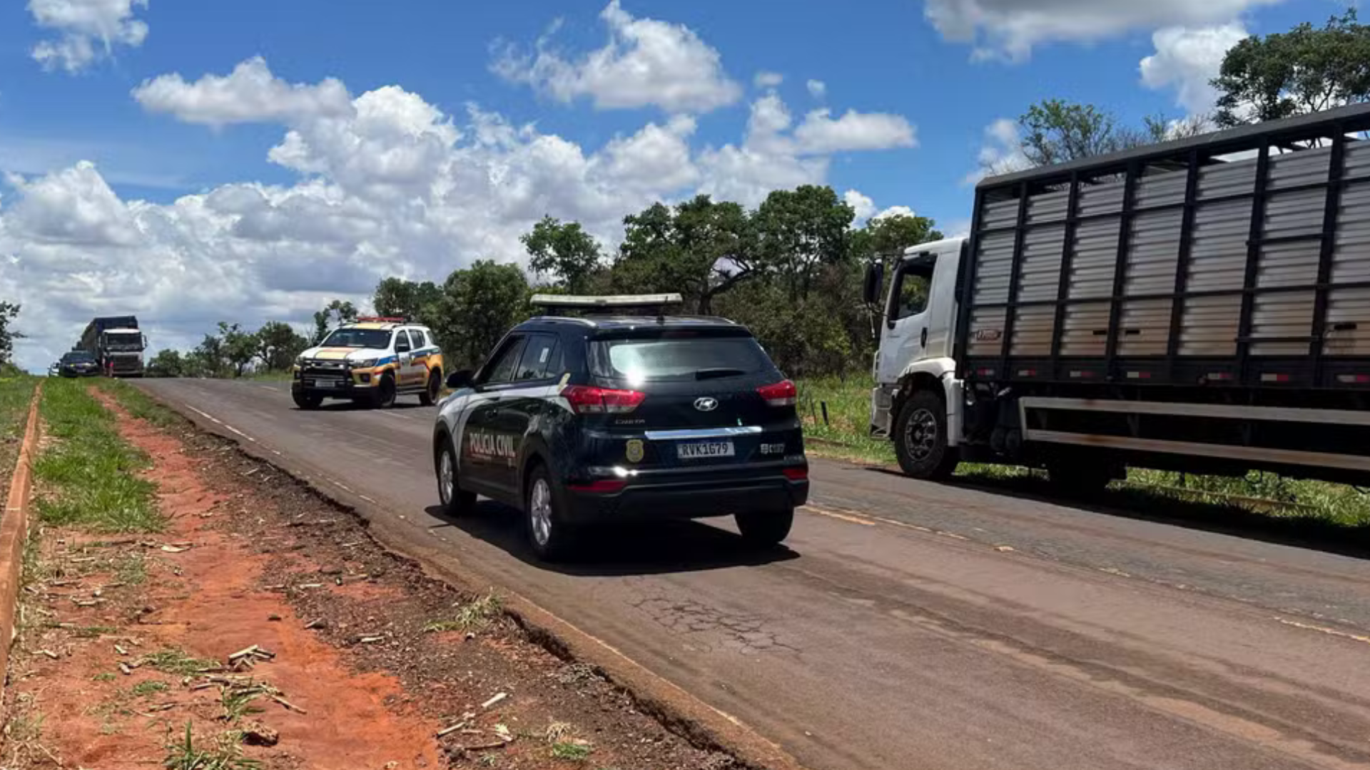 (foto: divulgação/ PMRv)