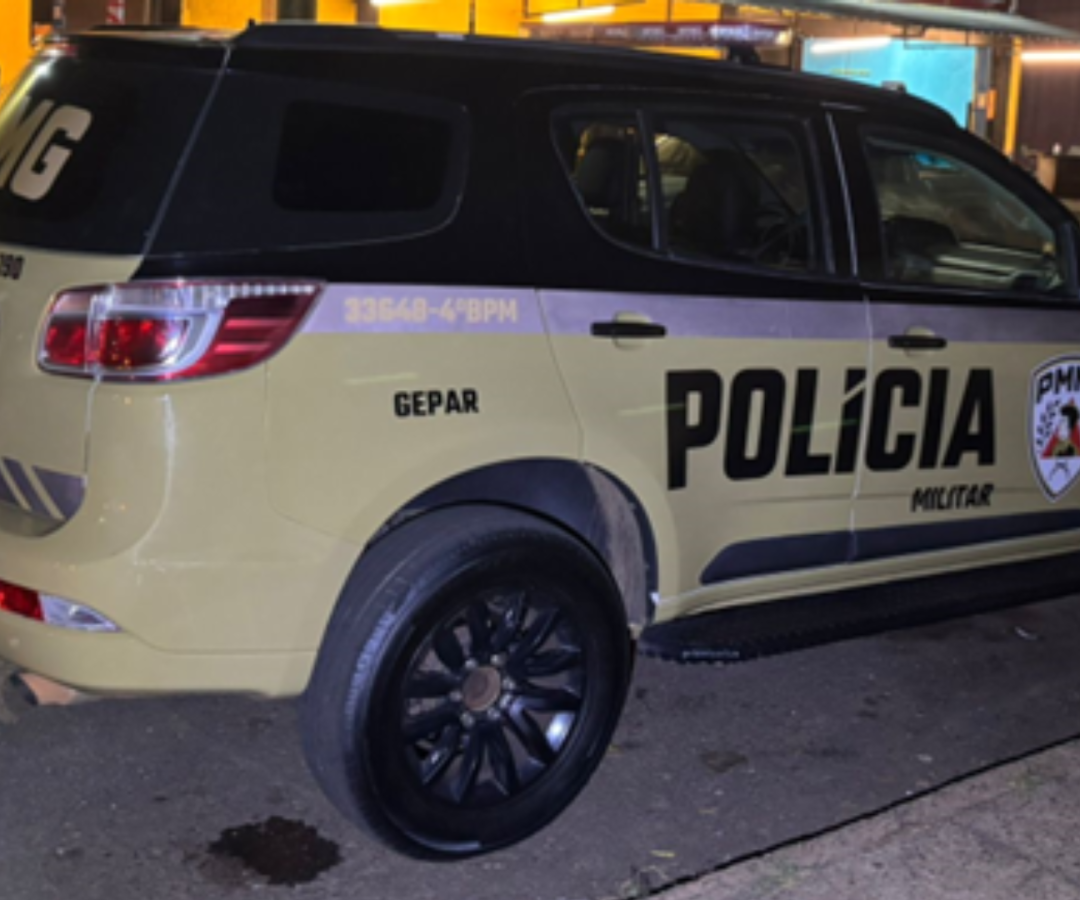 (foto: divulgação/ PMMG)