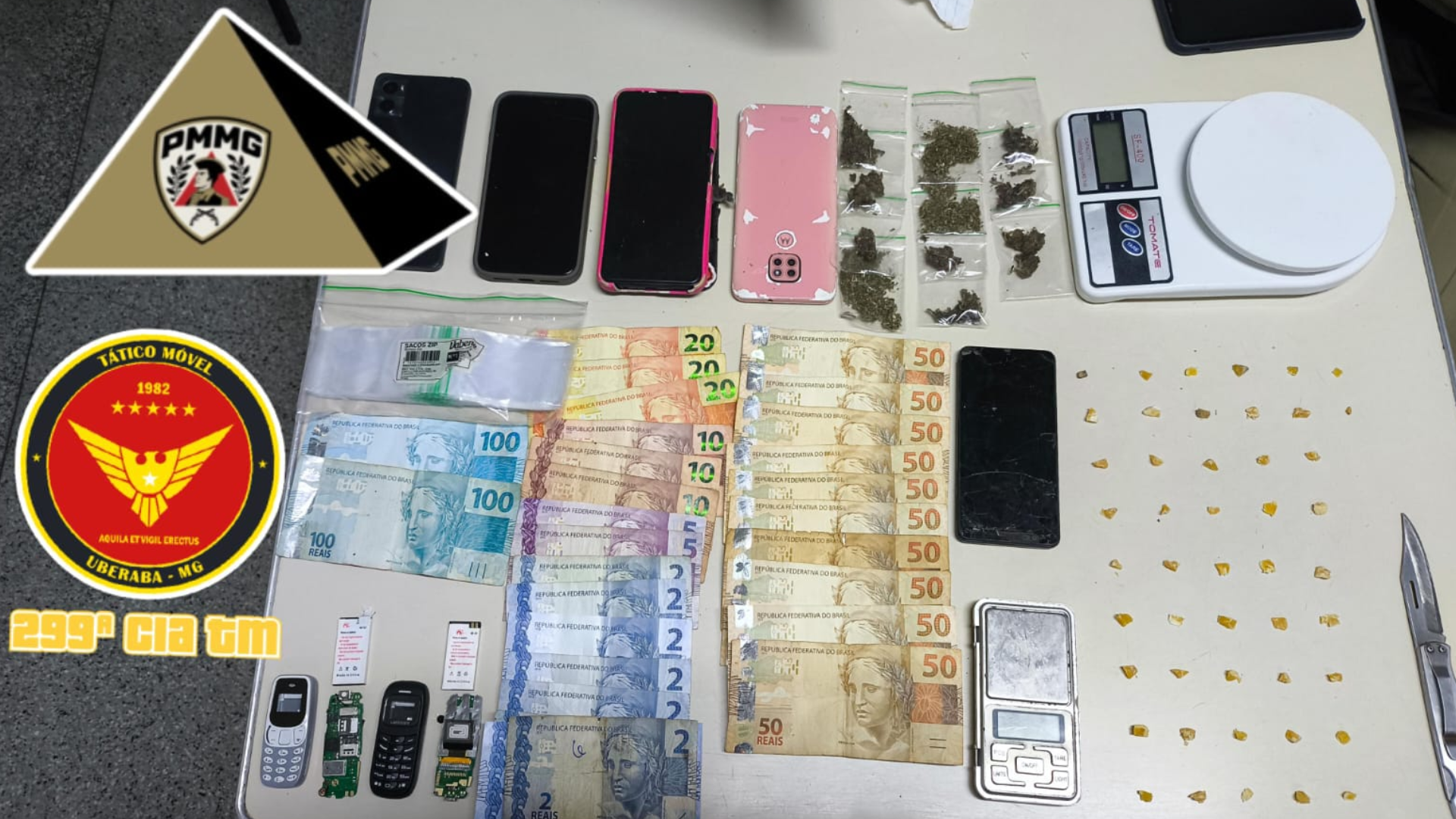 (foto: divulgação/ PMMG)