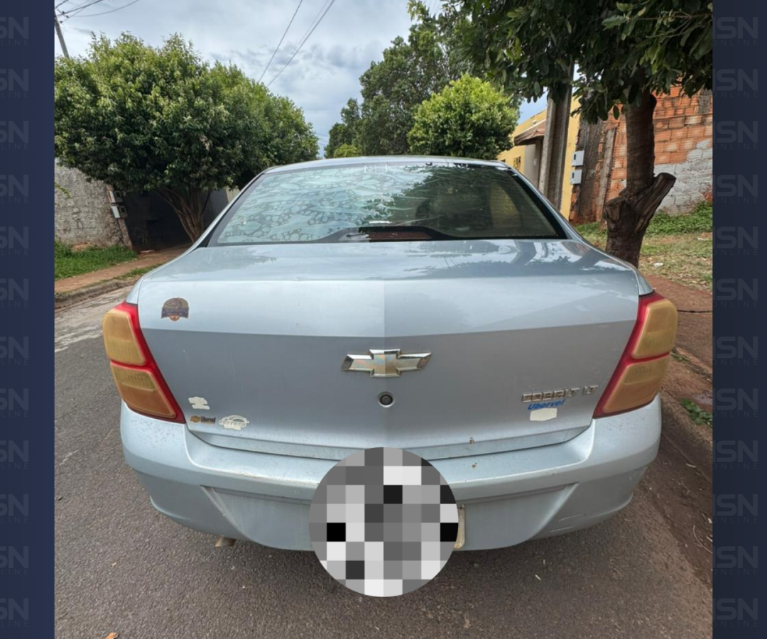 (foto: divulgação/ PMMG)