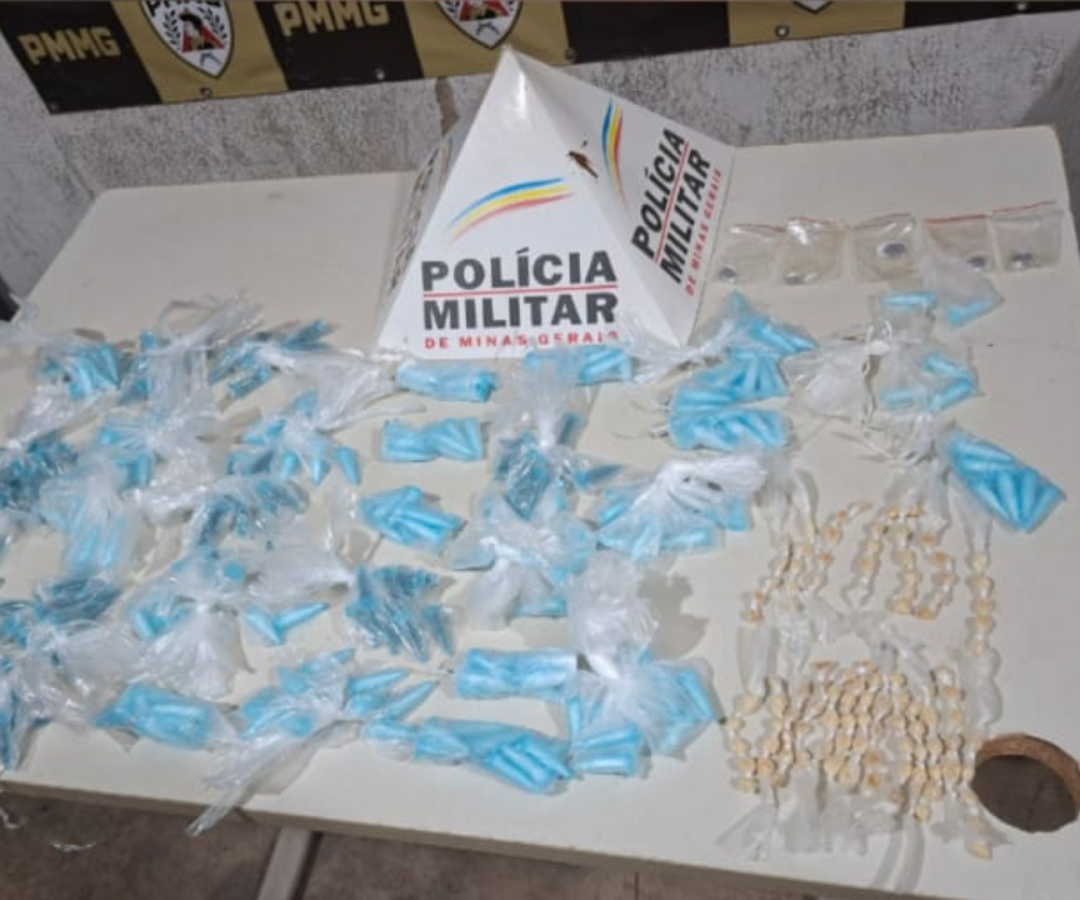 (foto: divulgação/ PMMG)