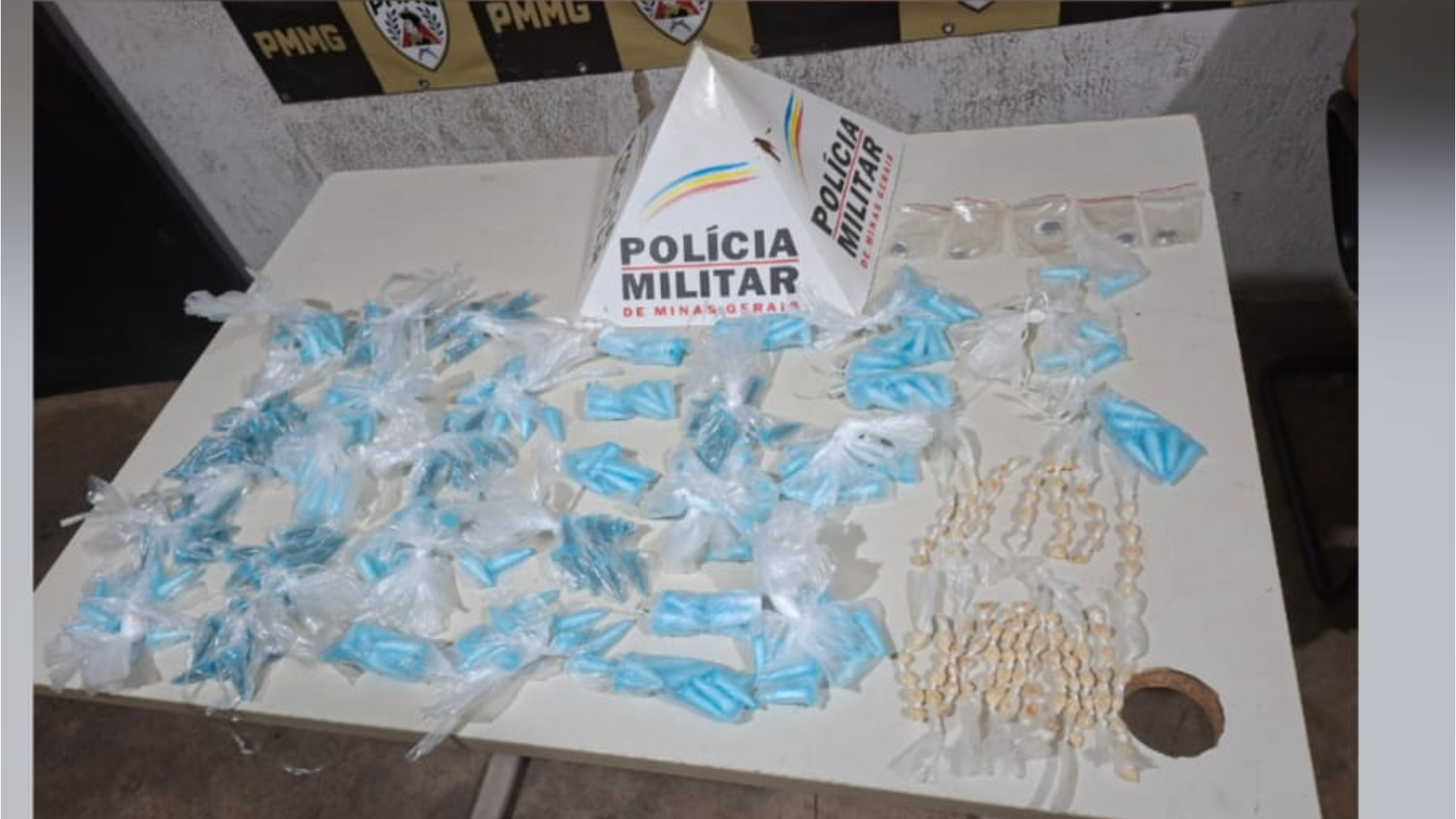 (foto: divulgação/ PMMG)