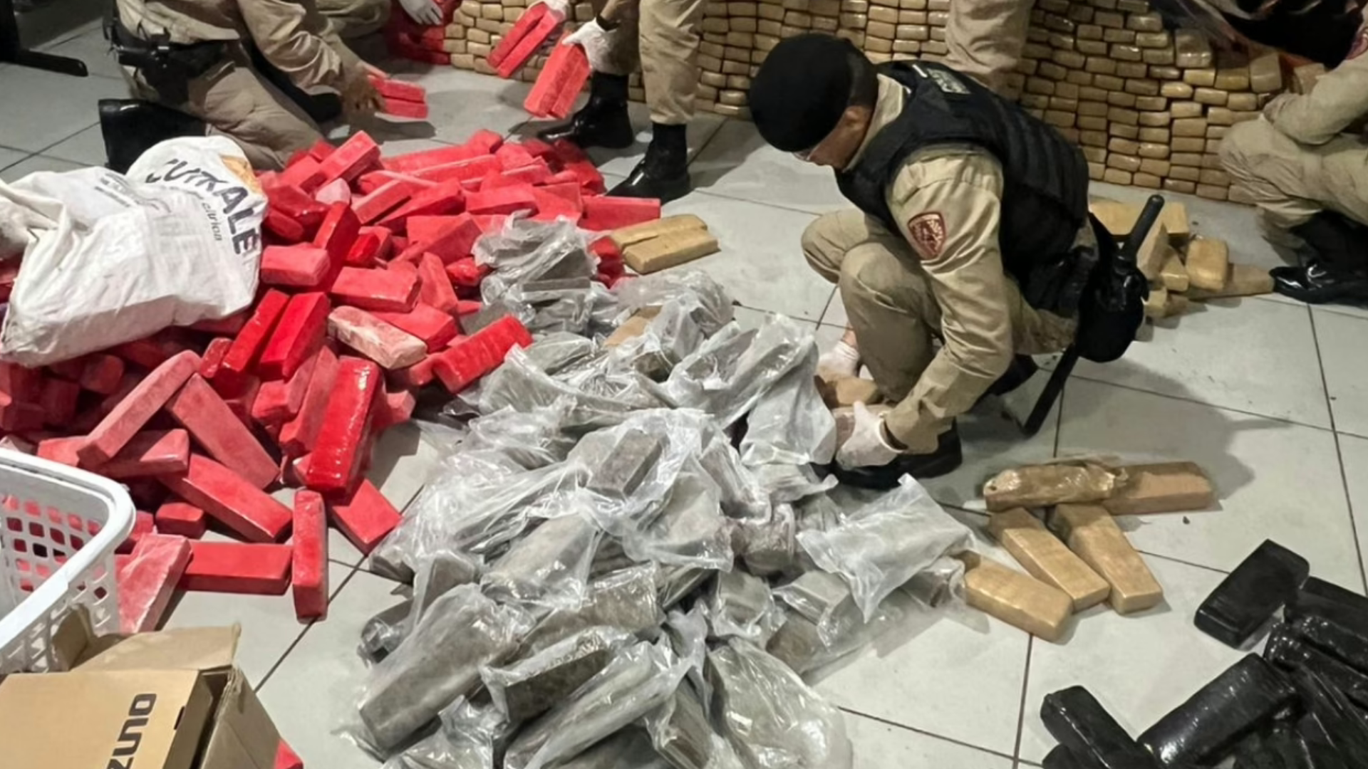 (foto: divulgação/ PMMG)