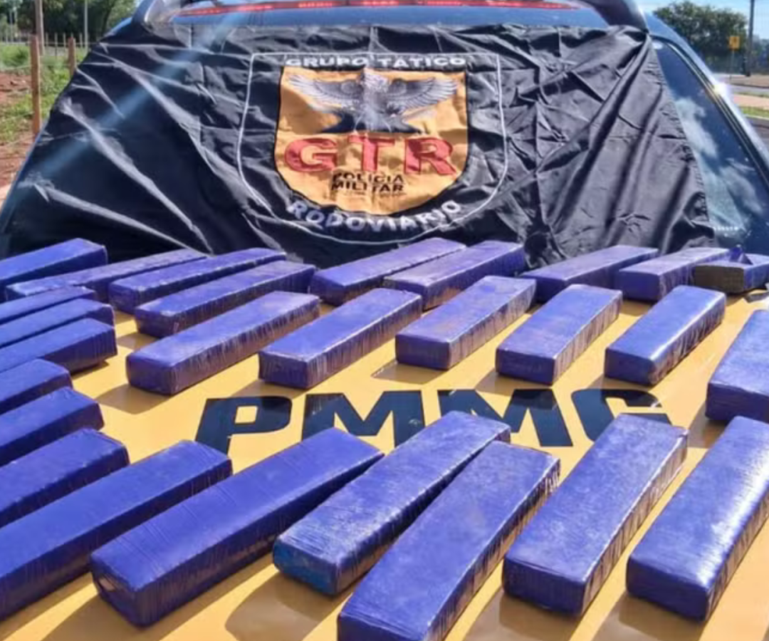 (foto: divulgação/ PMRv)