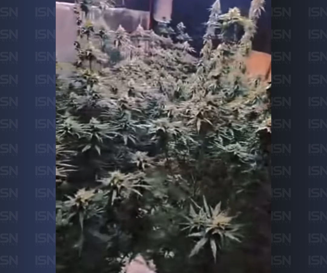 (foto: reprodução/ regionalzão)