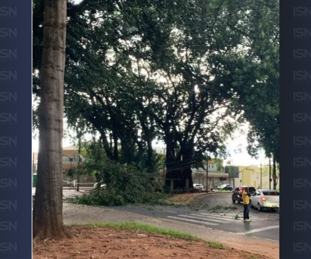 (foto: divulgação/ Corpo de Bombeiros)