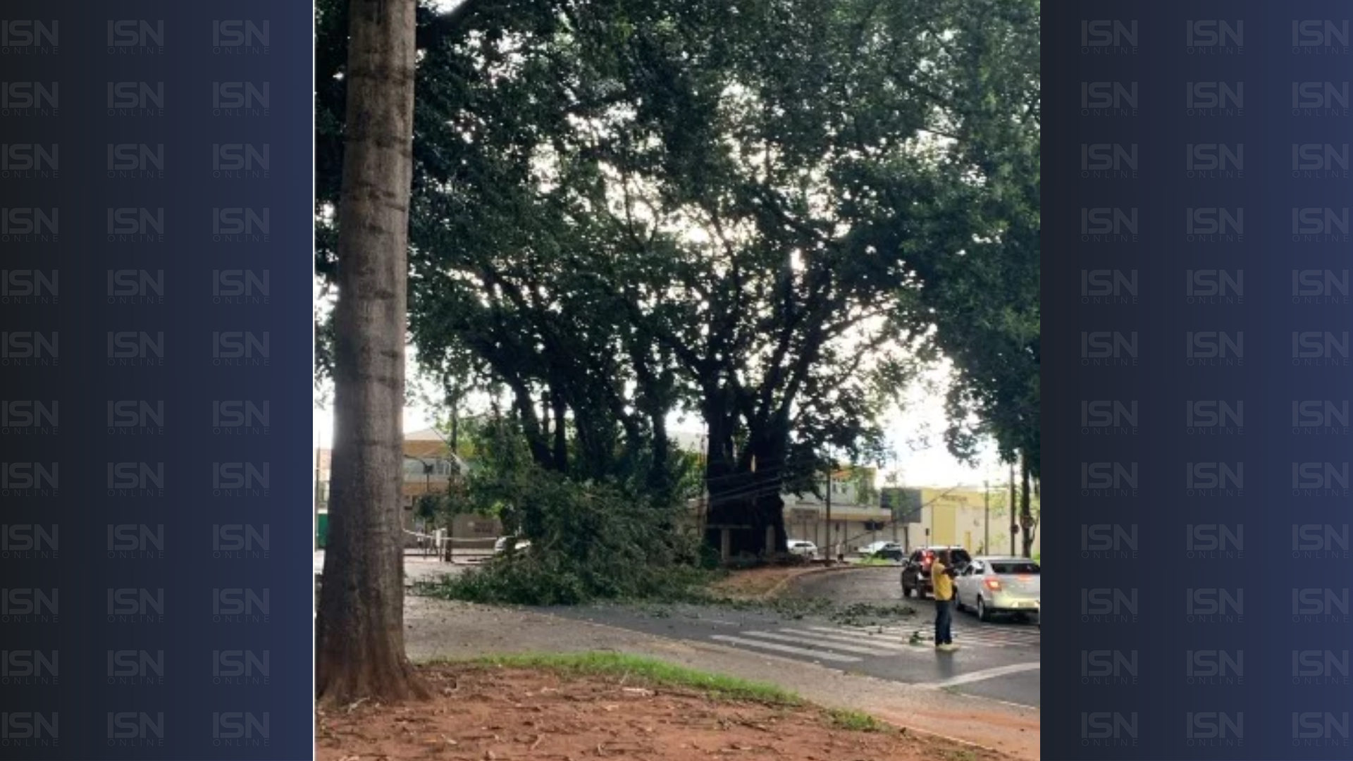 (foto: divulgação/ Corpo de Bombeiros)