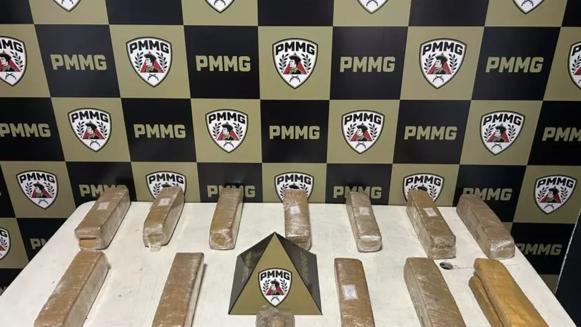 (foto: divulgação/ PMMG)