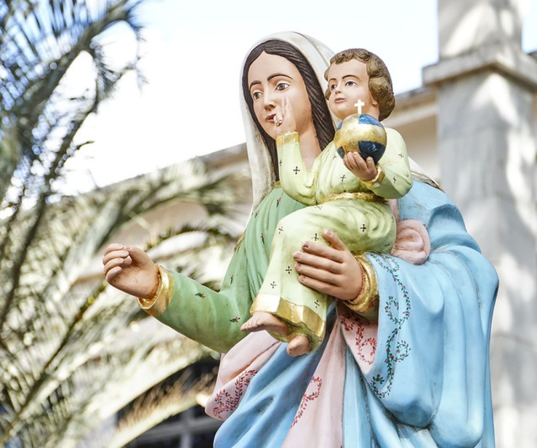 (foto: divulgação/ PMU)