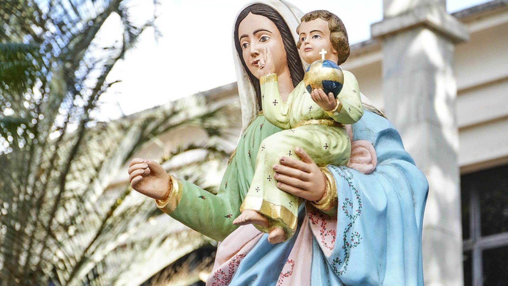 (foto: divulgação/ PMU)