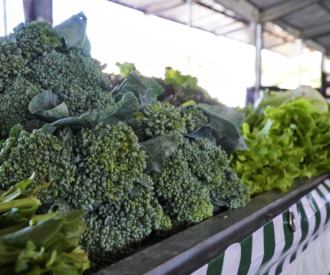 (foto: divulgação/ PMMG)