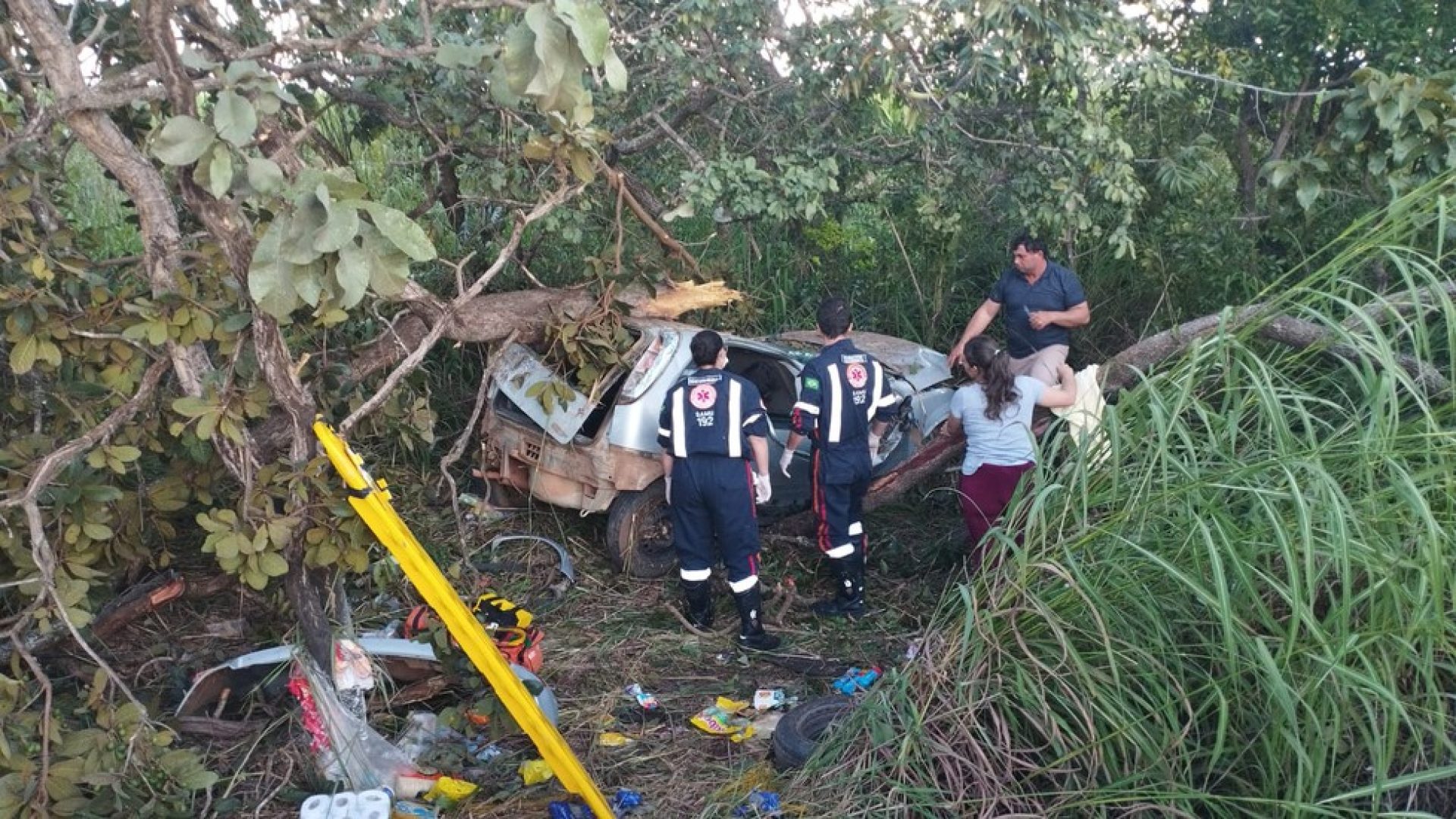 (foto: divulgação/ CBMG)