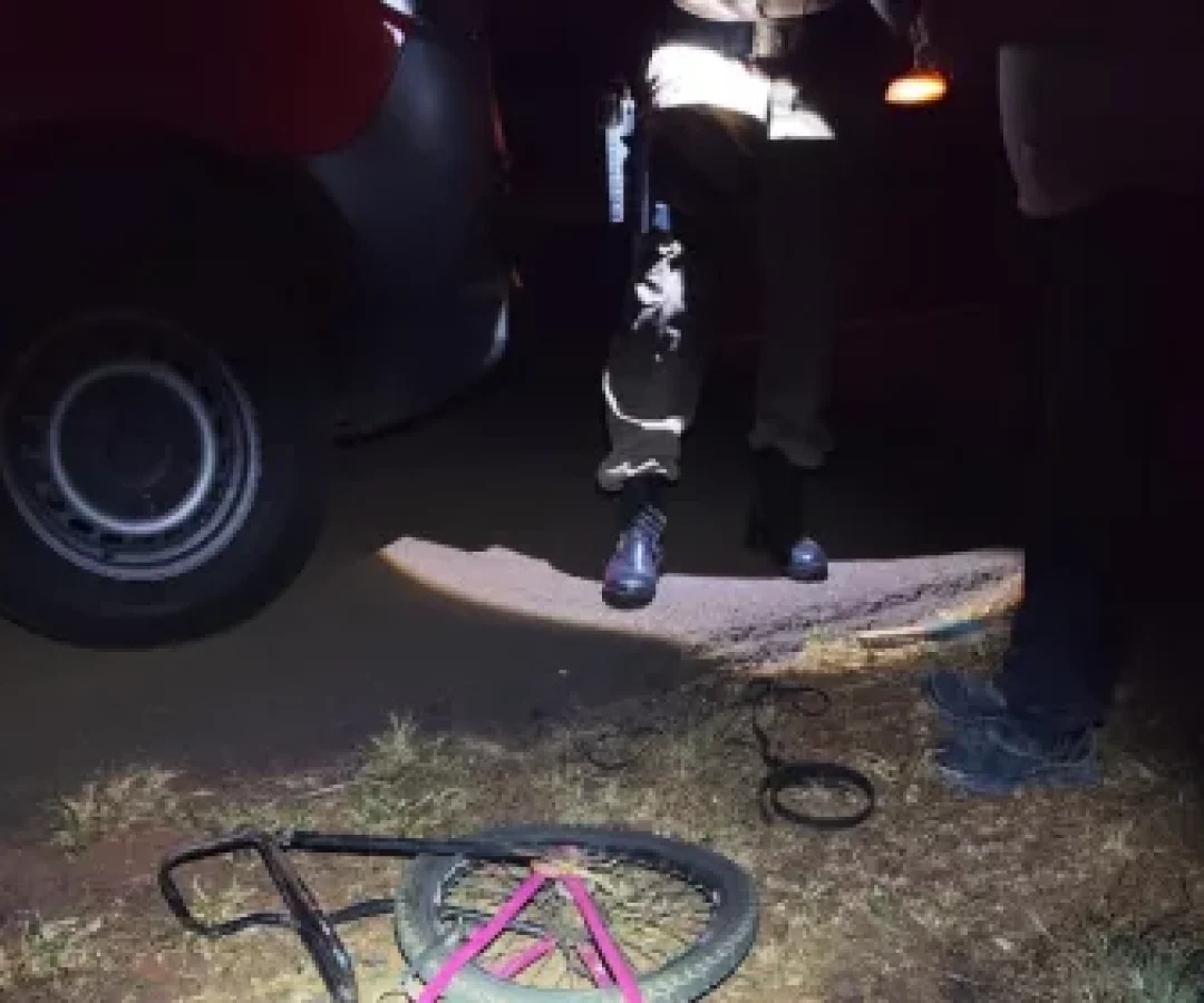 (foto: divulgação/ redes sociais)