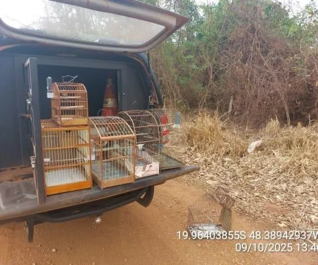 foto divulgação