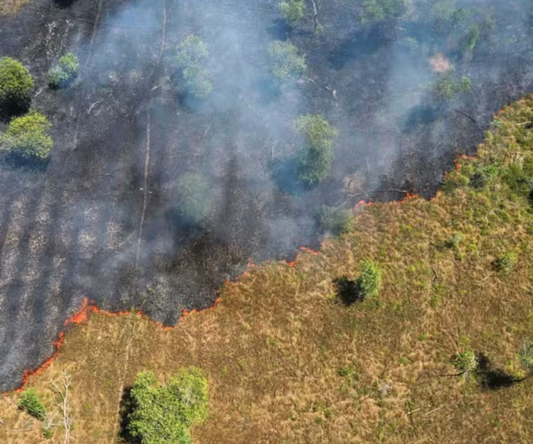 Amazônia