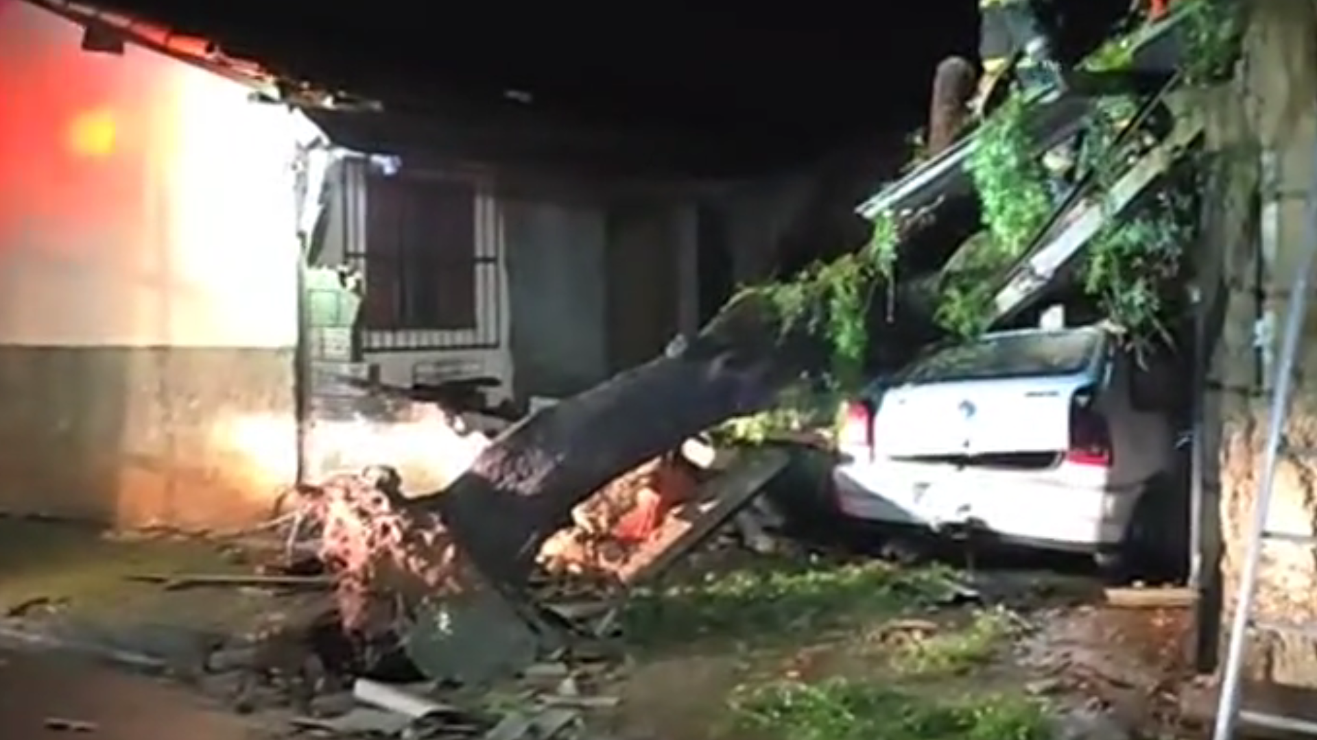 Árvore cai em casa durante chuva em Uberaba