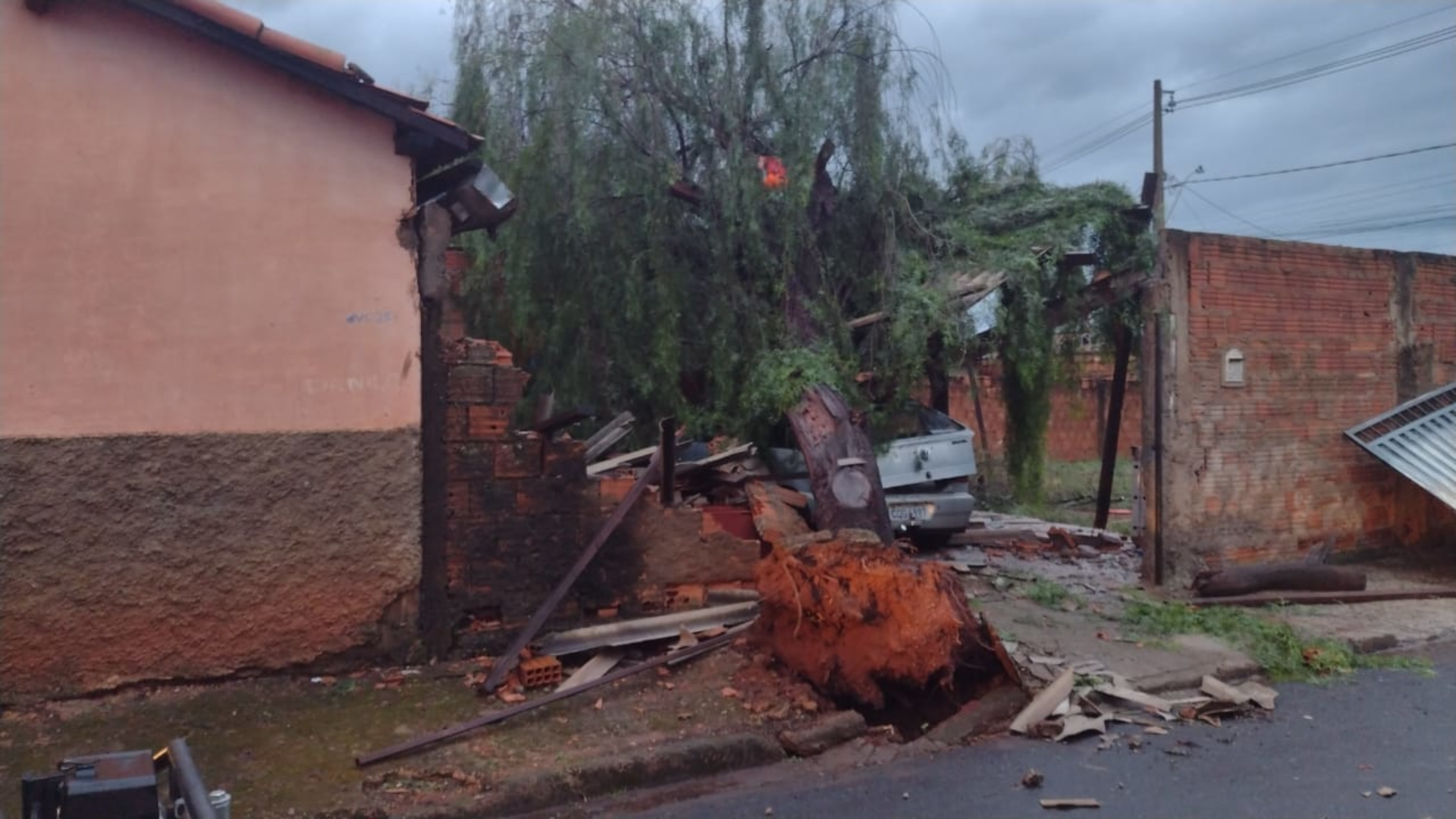 Bombeiros de Uberaba registram quedas de árvore