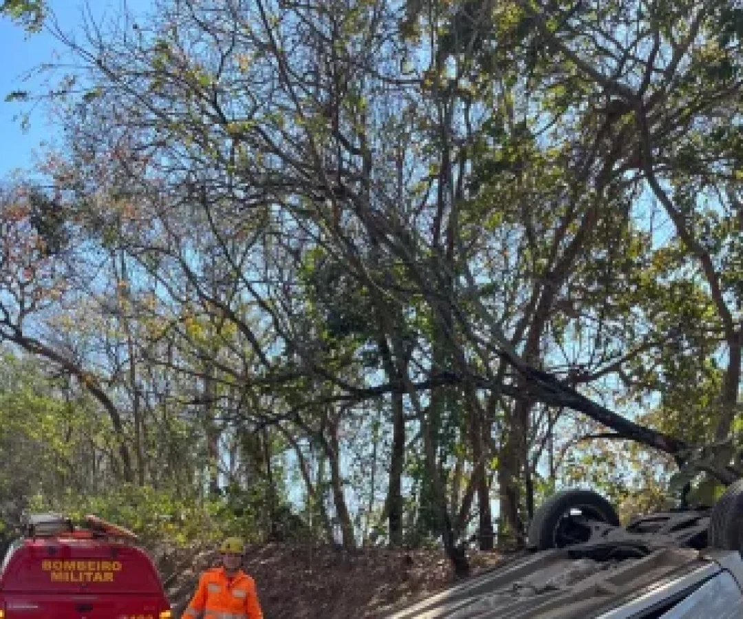 (foto: divulgação/ redes sociais)