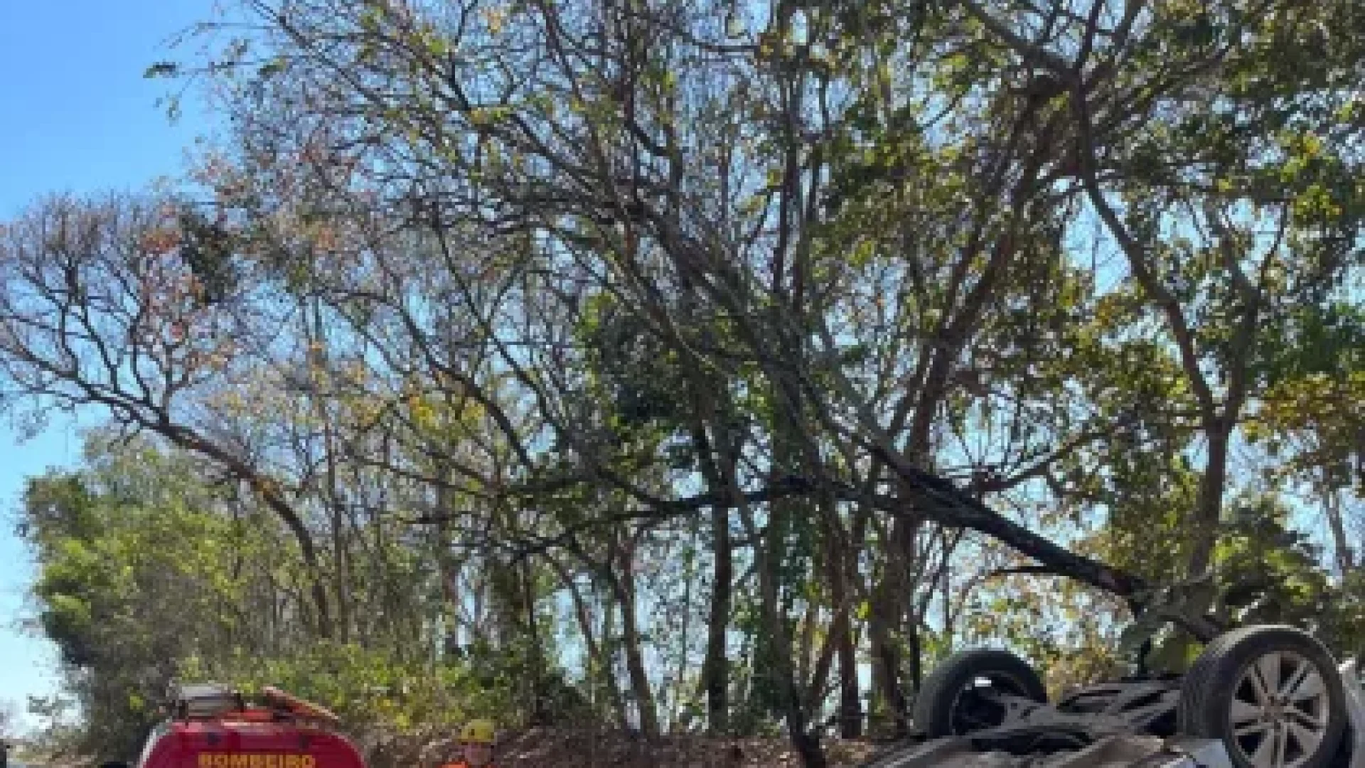 (foto: divulgação/ redes sociais)