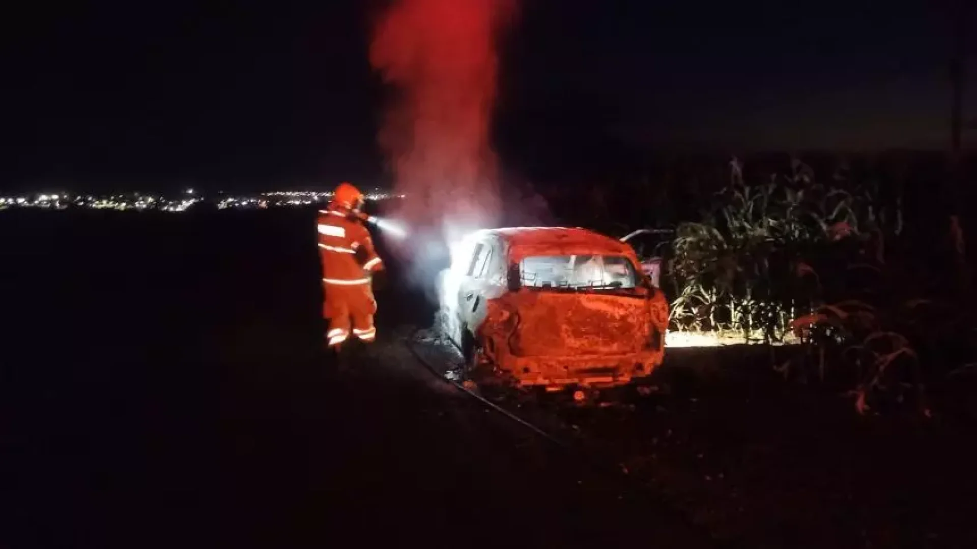 (foto: divulgação/ CBMG)