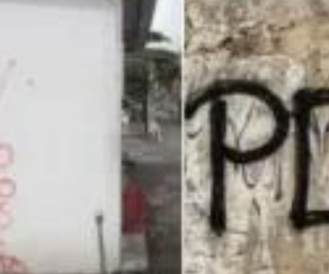 CV e PCC