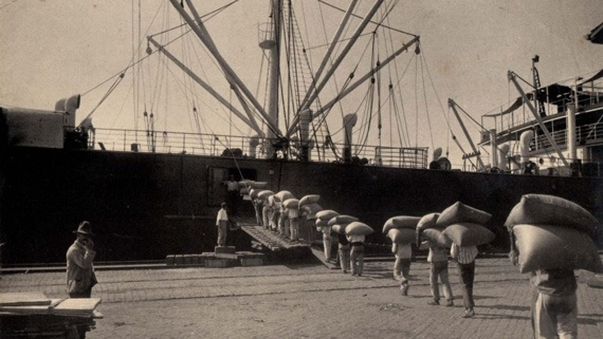 No dia mundial do café, entenda a relação do grão com a cidade de Santos. Foto: Associação Comercial de Santos