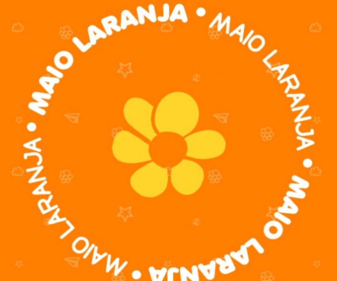 Câmara de Juiz de Fora promove ações do Maio Laranja